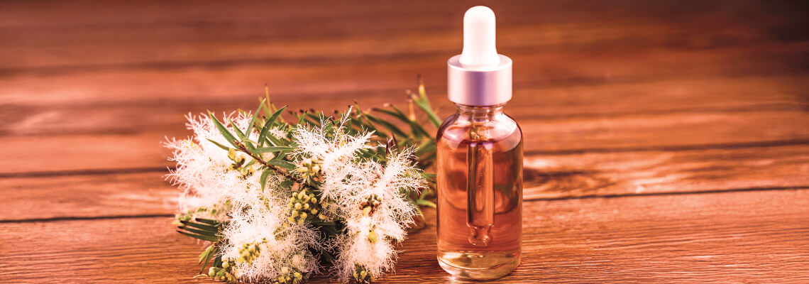 nioli yağı toptan satış