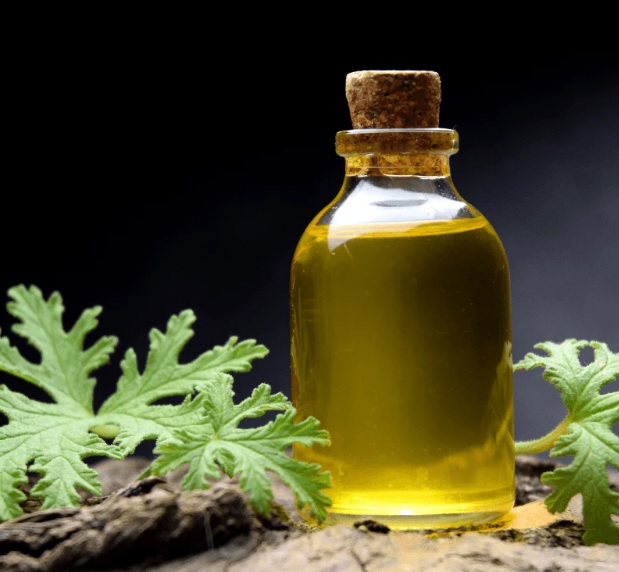 esansiyel yag tedarigi