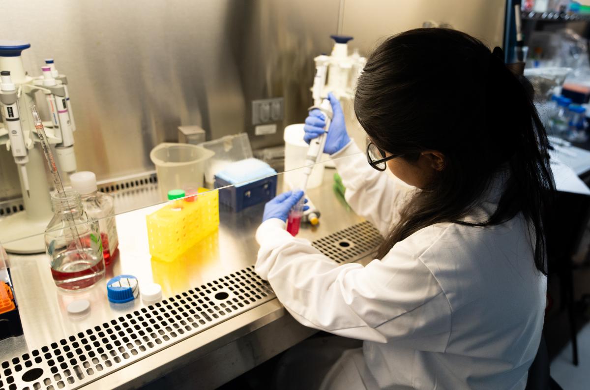 sorumlu müdür-mesul müdür